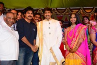 Gopichand Marriage Reception Photo Stills